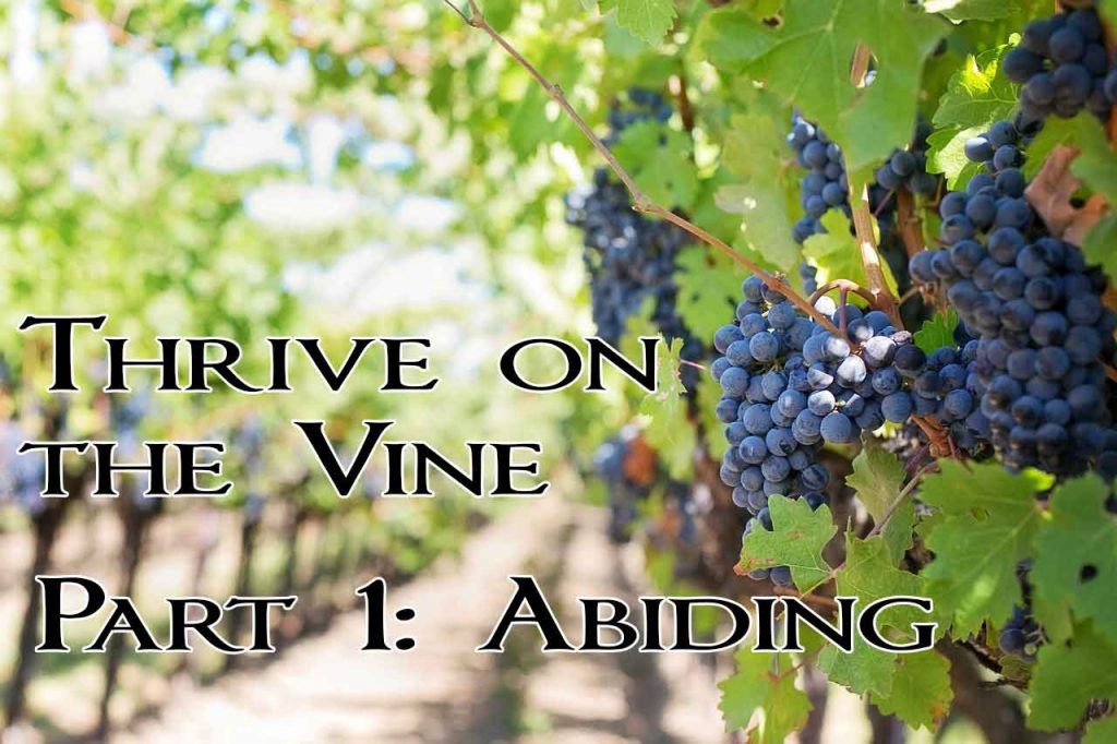 Thrive on the Vine: Part 1 – Abiding