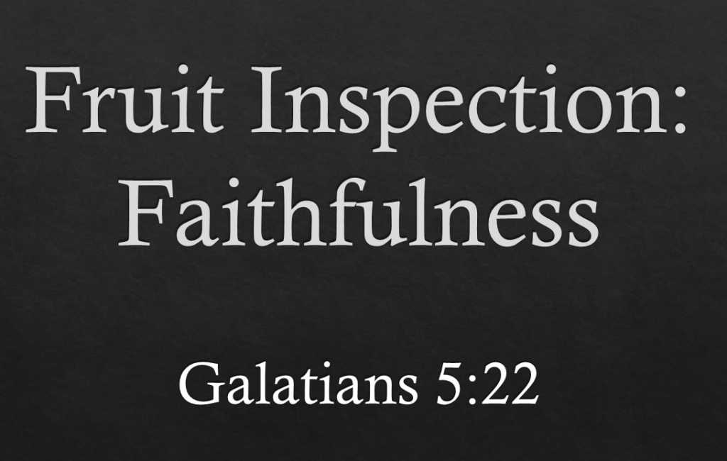 Fruit Inspection: Faithfulness – Galatians 5:22