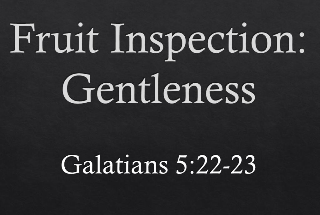 Fruit Inspection: Gentleness – Galatians 5:22-23